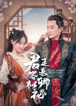 君是慕容卿似花第02集