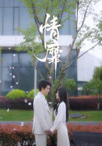 情靡全集(大结局)