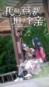 我和总裁相了个亲全集(大结局)