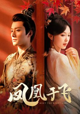 凤凰于飞(全集)