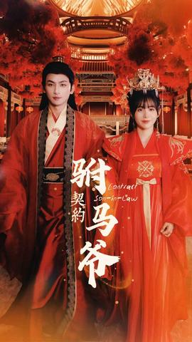 契约驸马爷全集(大结局)