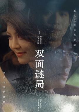 双面谜局全集(大结局)