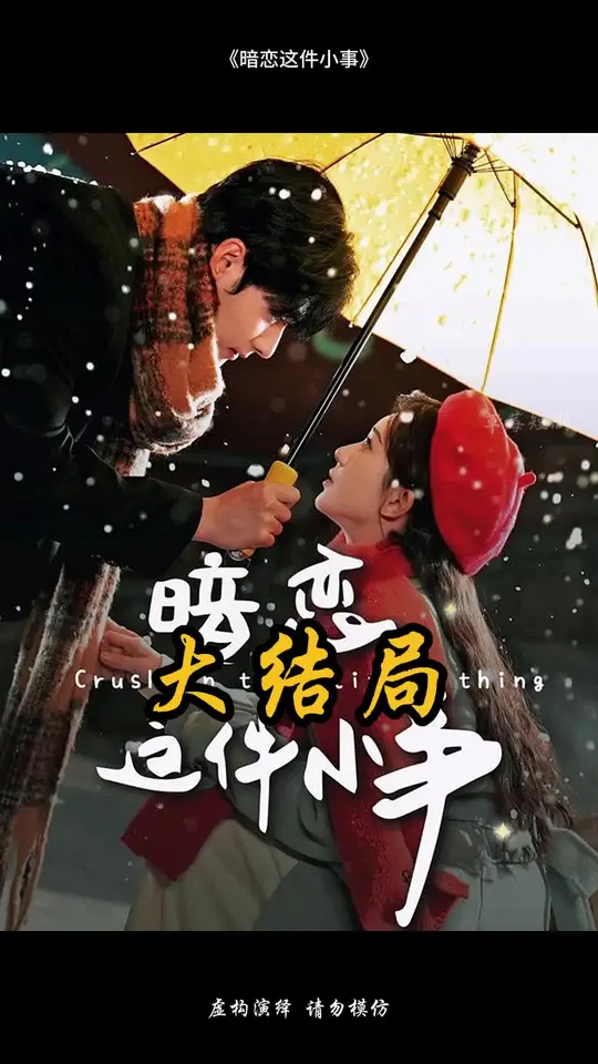 暗恋这件小事全集(大结局)