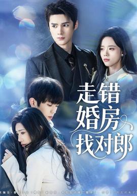 走错婚房找对郎(全集)